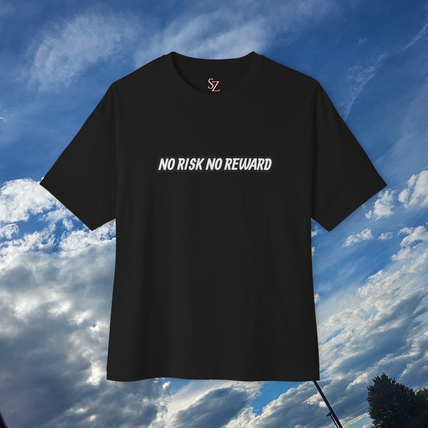 No Risk No Reward Oversized Tee, Unisex Graphic Tee, Streetwear Shirt, Casual Tee, Inspirational T-Shirt, Gift for Car Enthusiasts