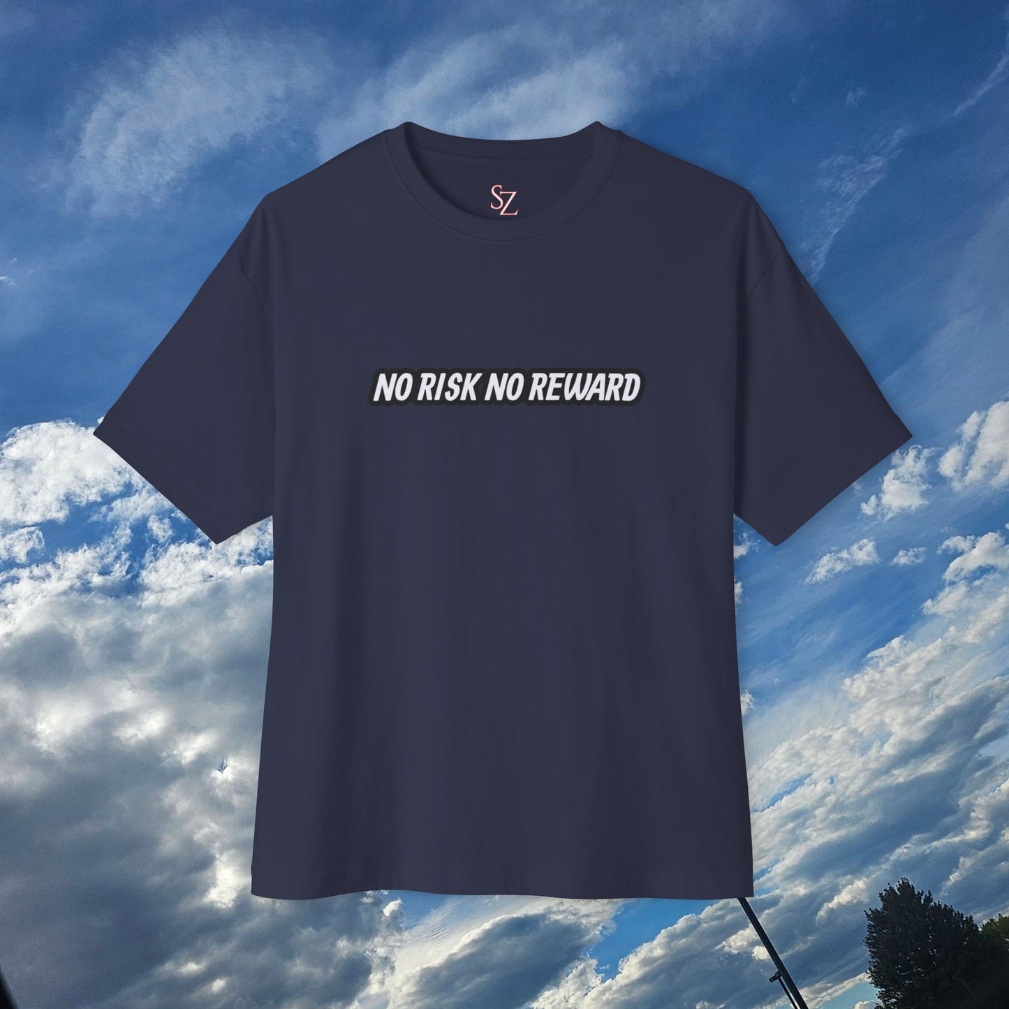 No Risk No Reward Oversized Tee, Unisex Graphic Tee, Streetwear Shirt, Casual Tee, Inspirational T-Shirt, Gift for Car Enthusiasts