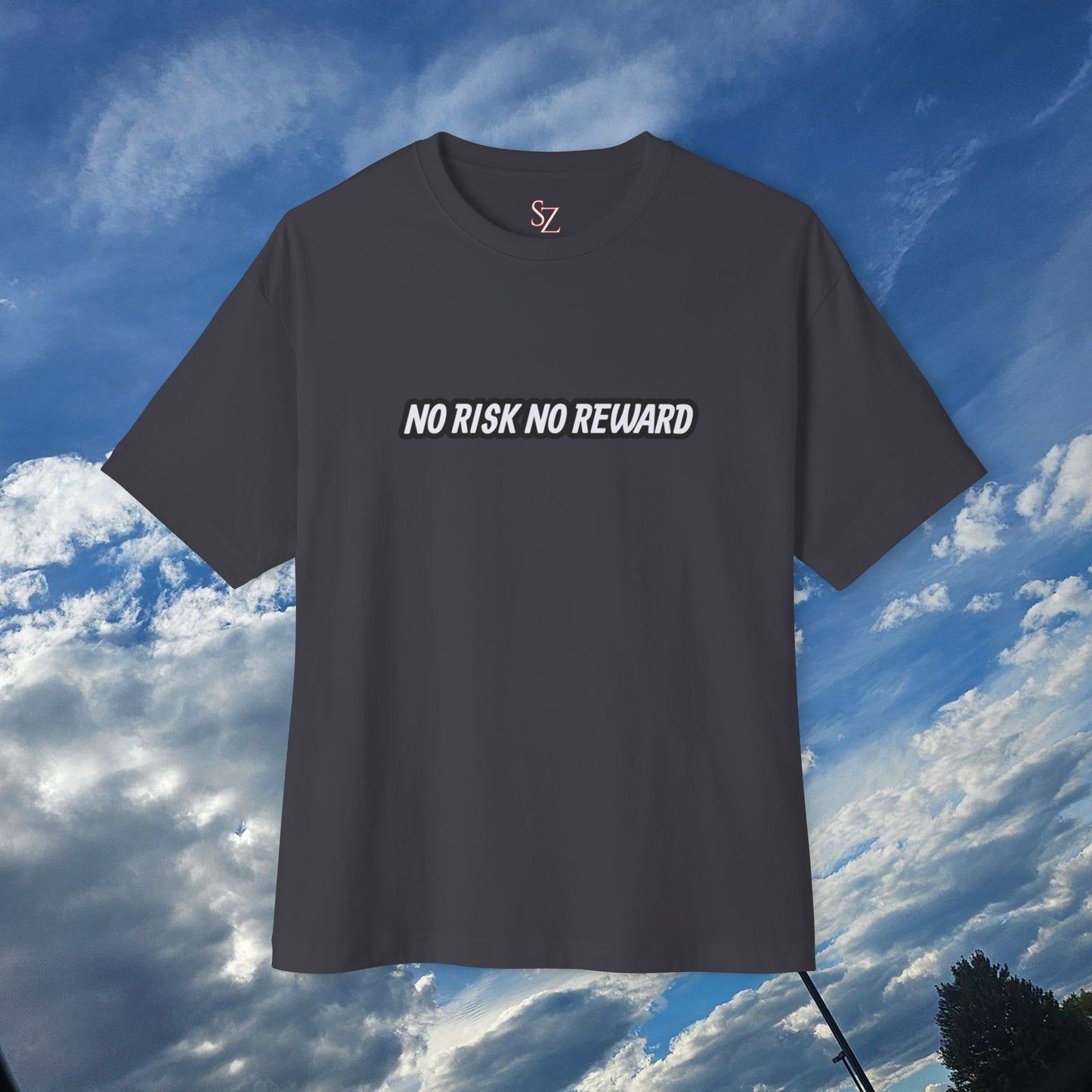 No Risk No Reward Oversized Tee, Unisex Graphic Tee, Streetwear Shirt, Casual Tee, Inspirational T-Shirt, Gift for Car Enthusiasts
